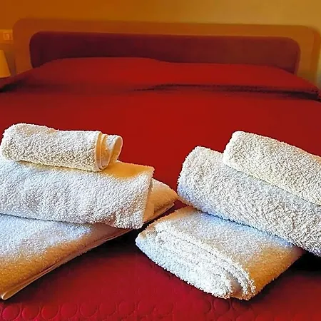 L'ulivo 4*